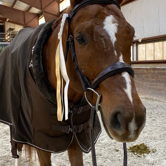 Lemieux fleece rug - Picture 3 of 3